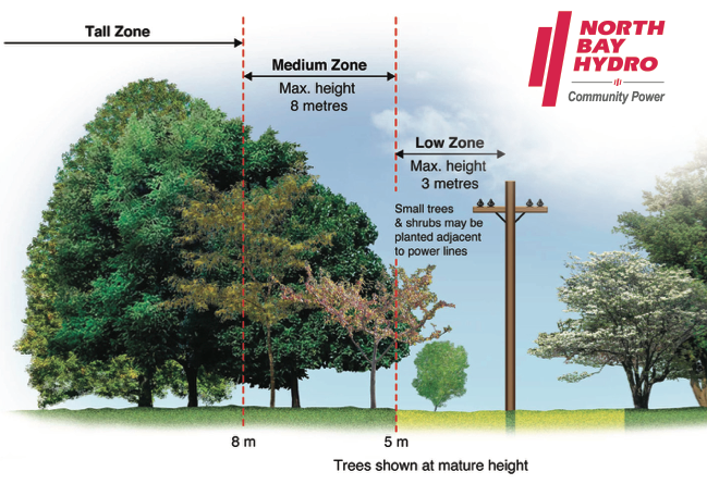 Right Tree Right Zone