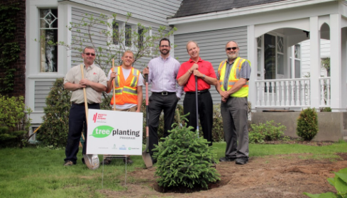 Tree Planting Program - North Bay Hydro