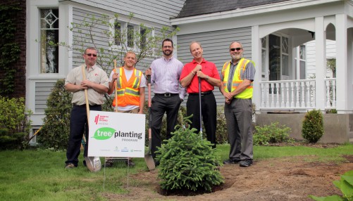 Tree Planting Program