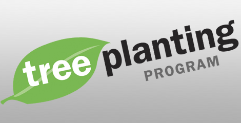 Tree Planting Program