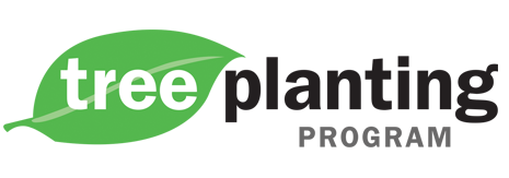 tree-planting-program