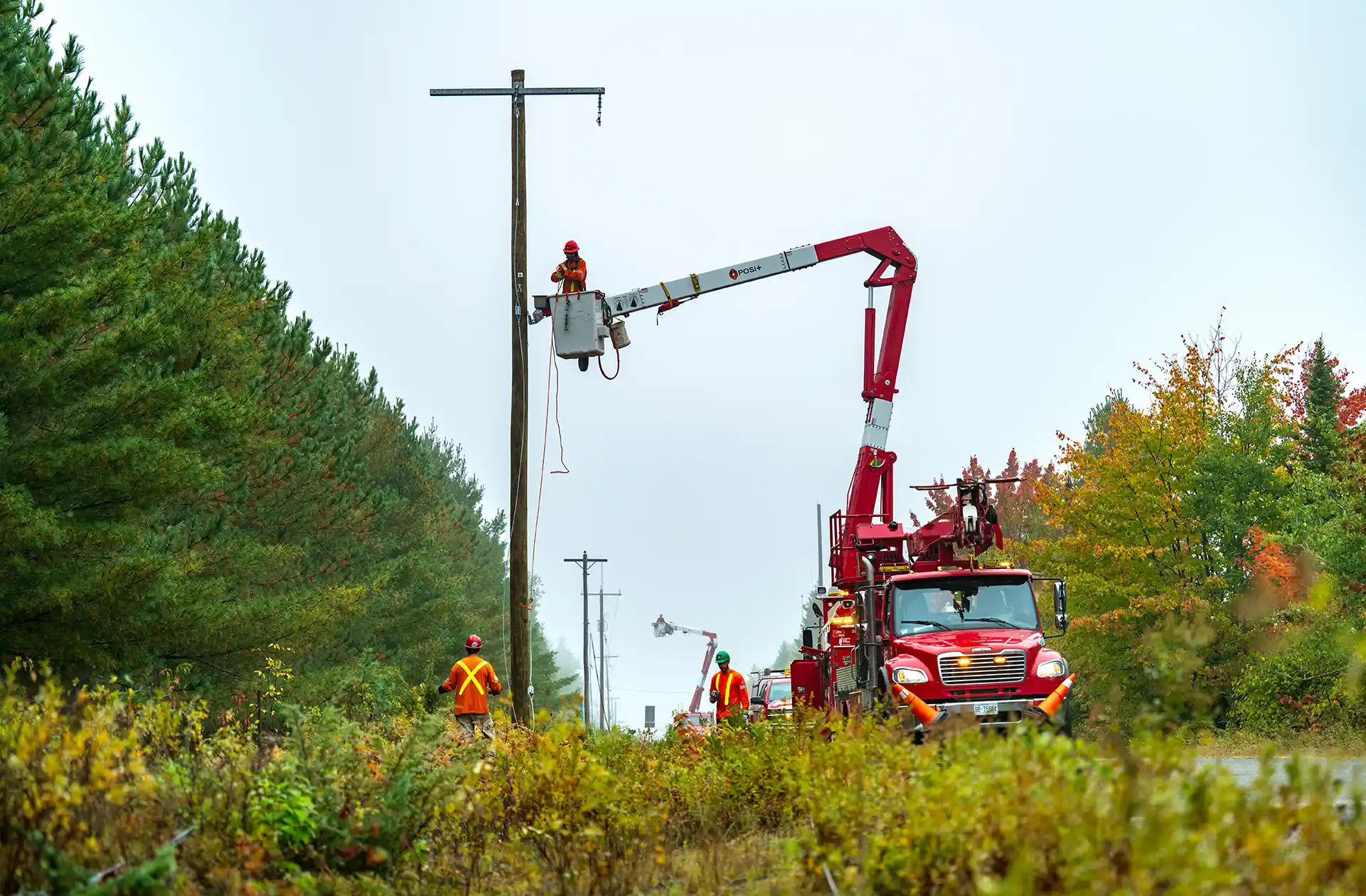 Vegetation Management